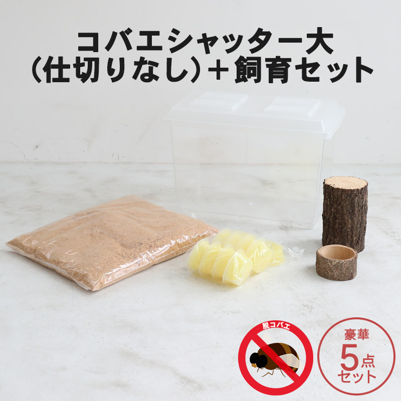 コバエシャッター「昆虫飼育ケース」大サイズ（内部仕切りなし）】豪華