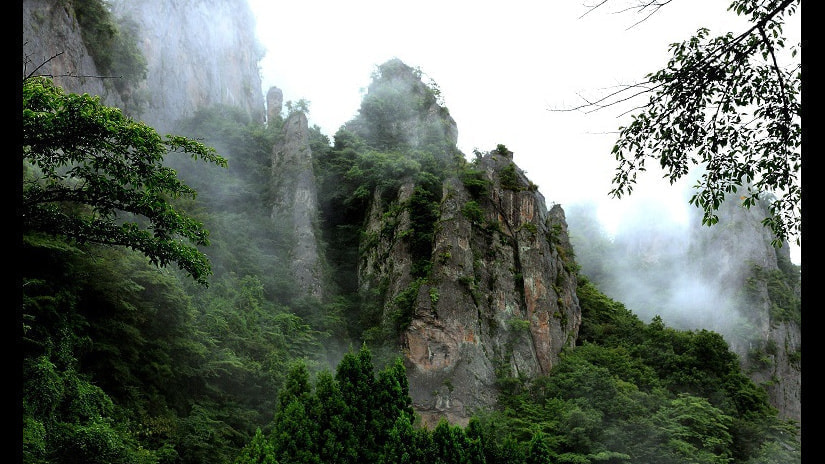 企業情報 | 妙義山麓美術館 公式