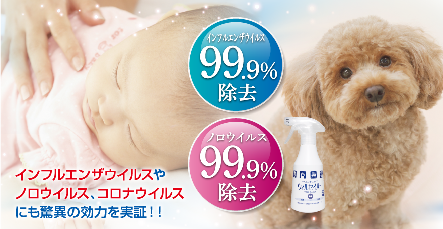 除菌消臭剤「ニオイ斬り！ ウィルセイバー」ならインフルエンザ