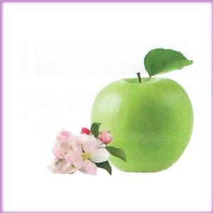 ランプベルジェ アロマオイル【青りんご】お試し100ml【A1501】 お試し