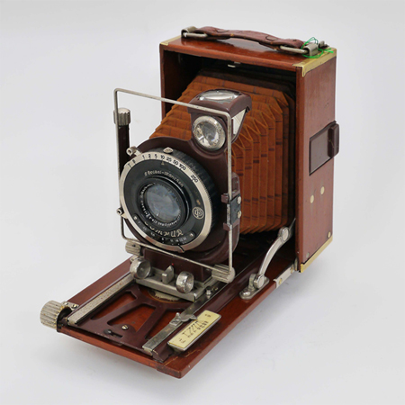 正真正銘のレアカメラ、トロピカル・リリー | 今月のひとこと