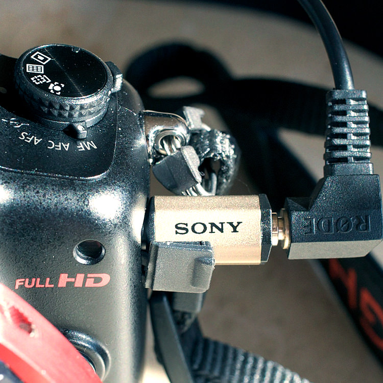 GH2、最初の二週間