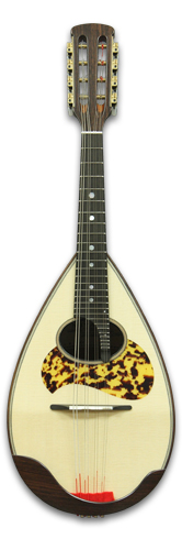 宮野厚志 手工マンドリン | ロッコーマン株式会社