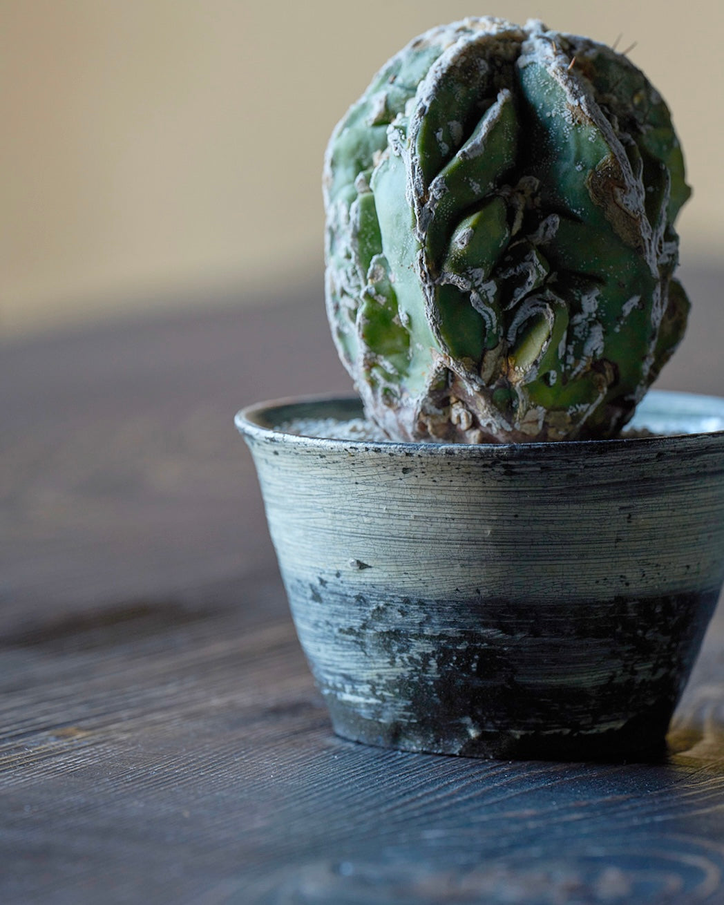 尾形 アツシ Atsushi Ogata – rurbanism