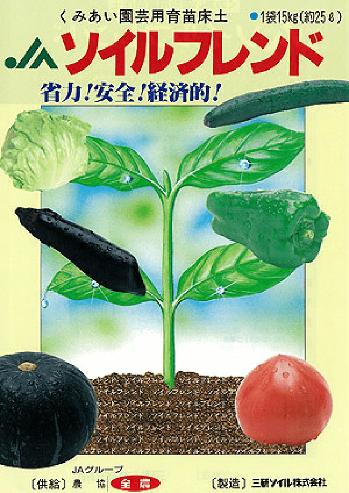 土介さま専用出品 春峰 3年生 苗木 土介さま専用出品 春峰 3年生 苗木