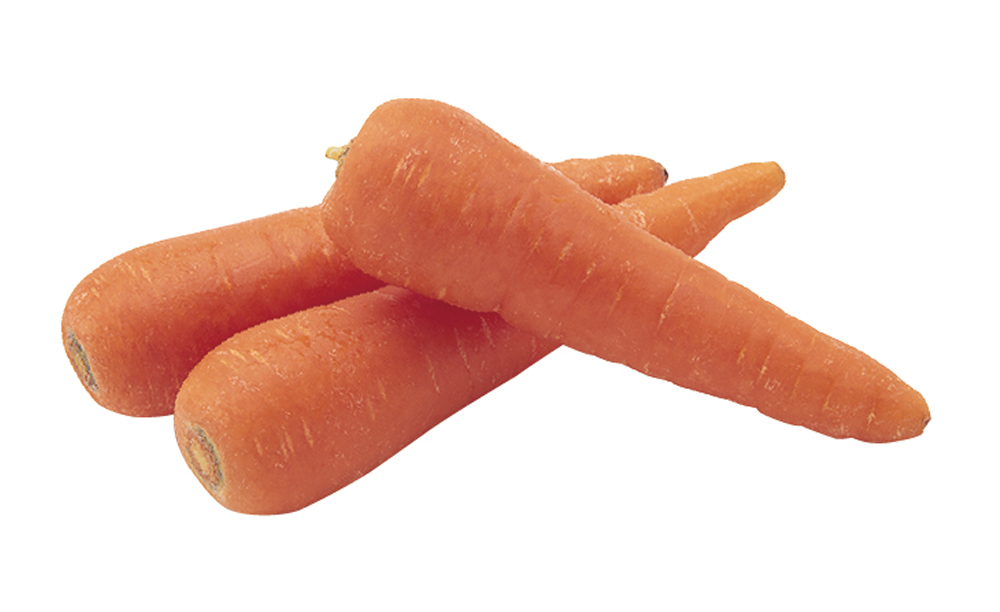 ベジドロップ キャロット ｜ 株式会社三晃商会