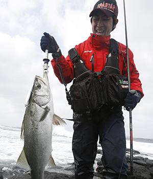 APIA SPARTAS '08風神号 バッカニア120M