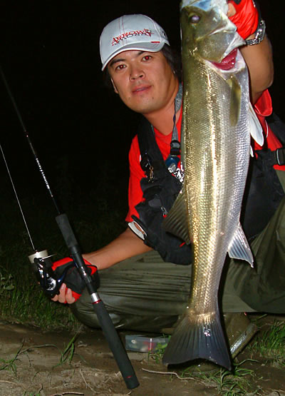 APIA SPARTAS 風神ゼータ ネオンナイト83L