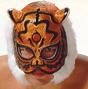 2代目タイガーマスク・覆面の変遷