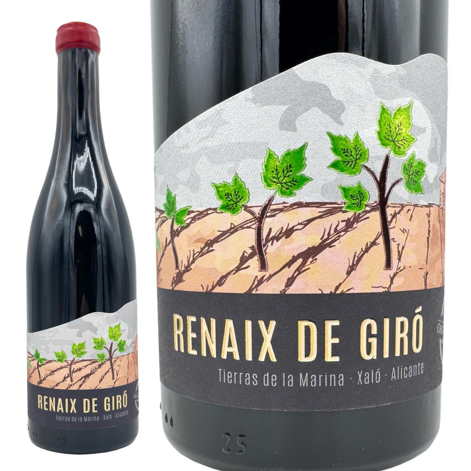 IMG-9103.jpg?v=1737699609