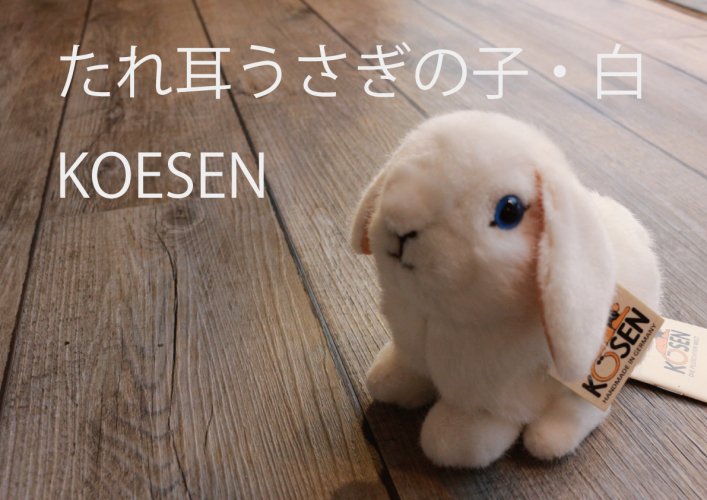 たれ耳うさぎの子・白 ケーセン社（ドイツ） – 木のおもちゃ専門店ゆうぼ