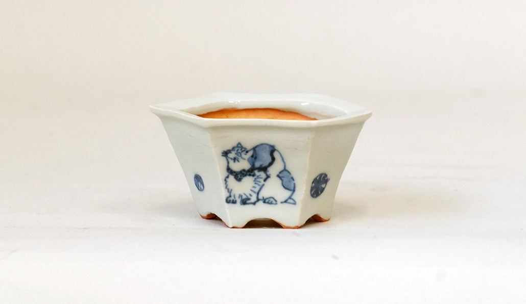 盆栽鉢ストアゆきもの｜盆栽鉢｜月山｜猫と手毬の六角鉢 JG314