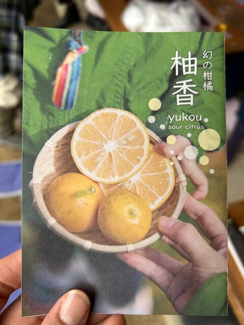 幻の柑橘「柚香（ゆこう）」 – 旅する発酵倶楽部