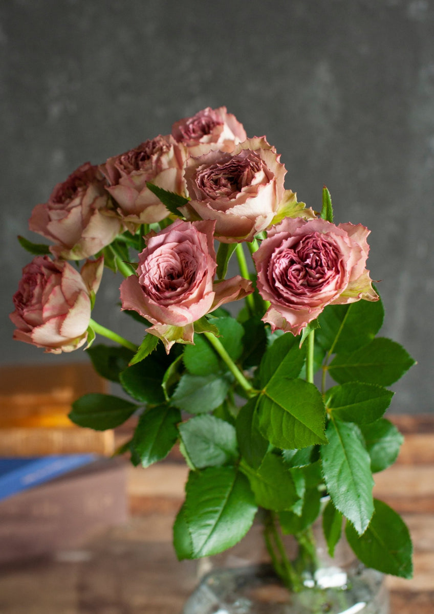 autumn_rose_003_006_1200x1200.