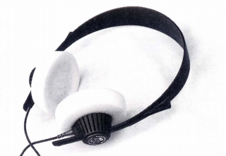 ミッシングリンク