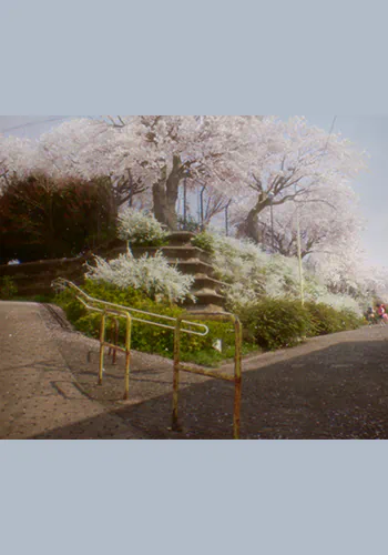 劇場用実写映画『秒速5センチメートル』