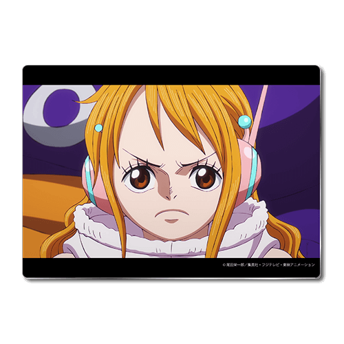 ワンピースセブンネット限定グッズ（メタルプレート）