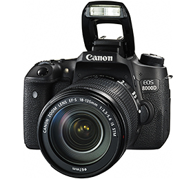 一眼レフカメラ キャノン EOS 8000Dは、こんな人におすすめ！: 一眼