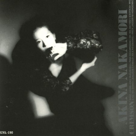 08. D404ME (1985) | 100AkinaNakamari.com