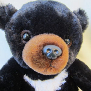 チャーリーベアーズ Destiny 約30cm チャーリーベアーズ Destiny 約