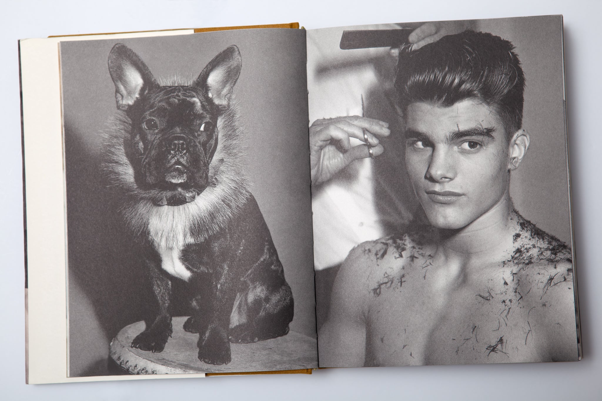 Bruce Weber - The Chop Suey Club – 10 BOOKS 10 COLORS