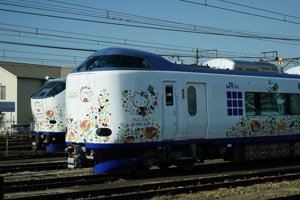 今だけ】車庫でニートレイン中の「はるか」を見てきました | 鉄道プレス