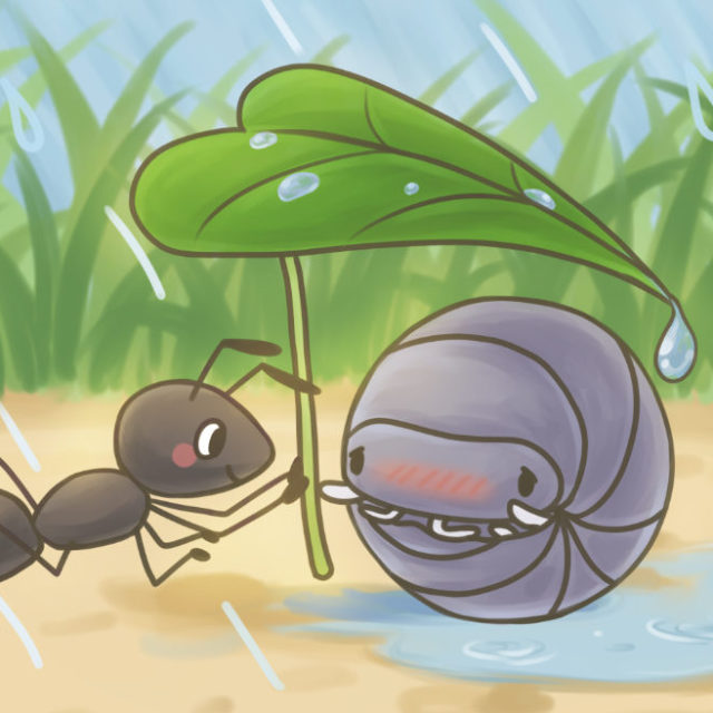 t-3-m.jpg?ver=1771477098