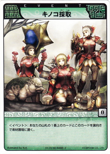 モンスターハンター ハンティングカード(29 枚)