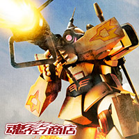 ROBOT魂 ＜SIDE MS＞ YMS-09D ドム・トロピカルテストタイプ ver