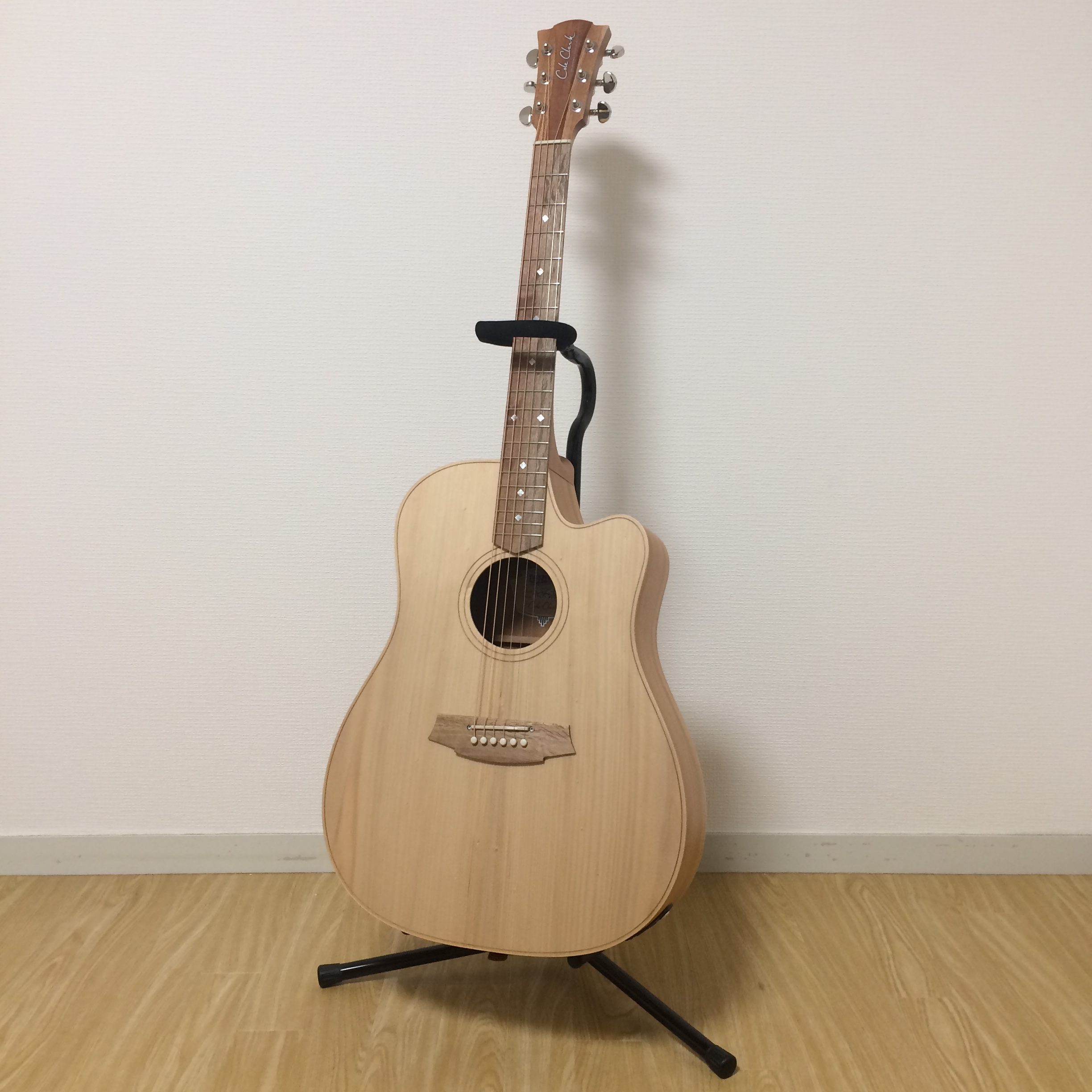 コールクラーク(Cole Clark)のエレアコのレビュー【特徴と音色