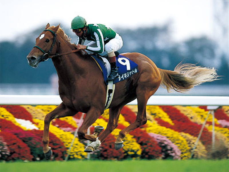 タイキシャトル | 大樹レーシングクラブ公式サイト