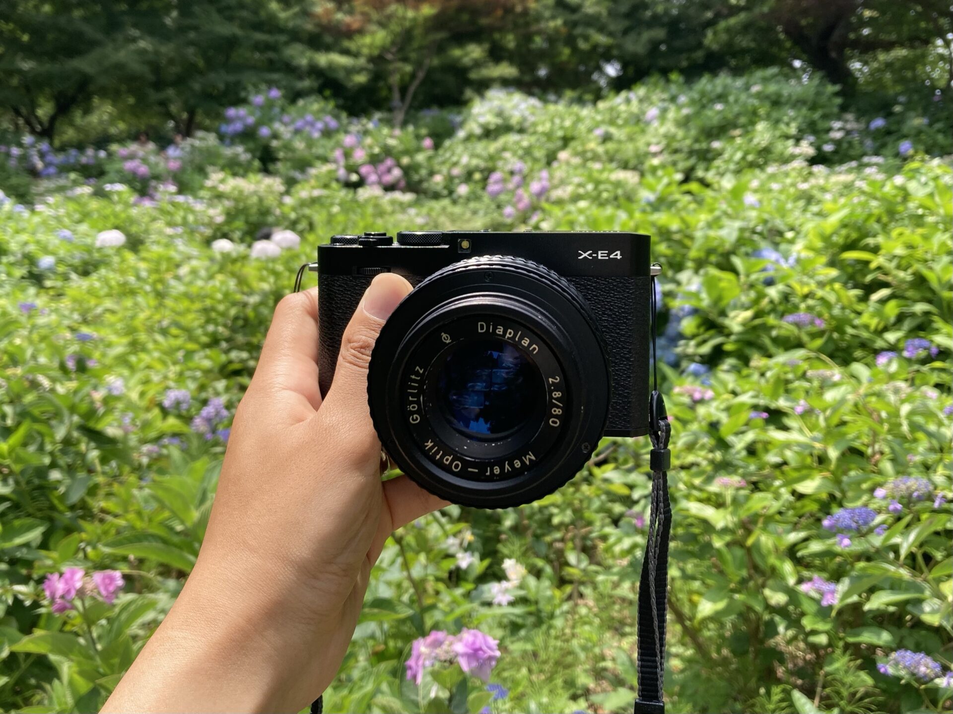 バブルボケレンズの王道「Meyer Optik Diaplan 80mm F2.8」レンズレビュー