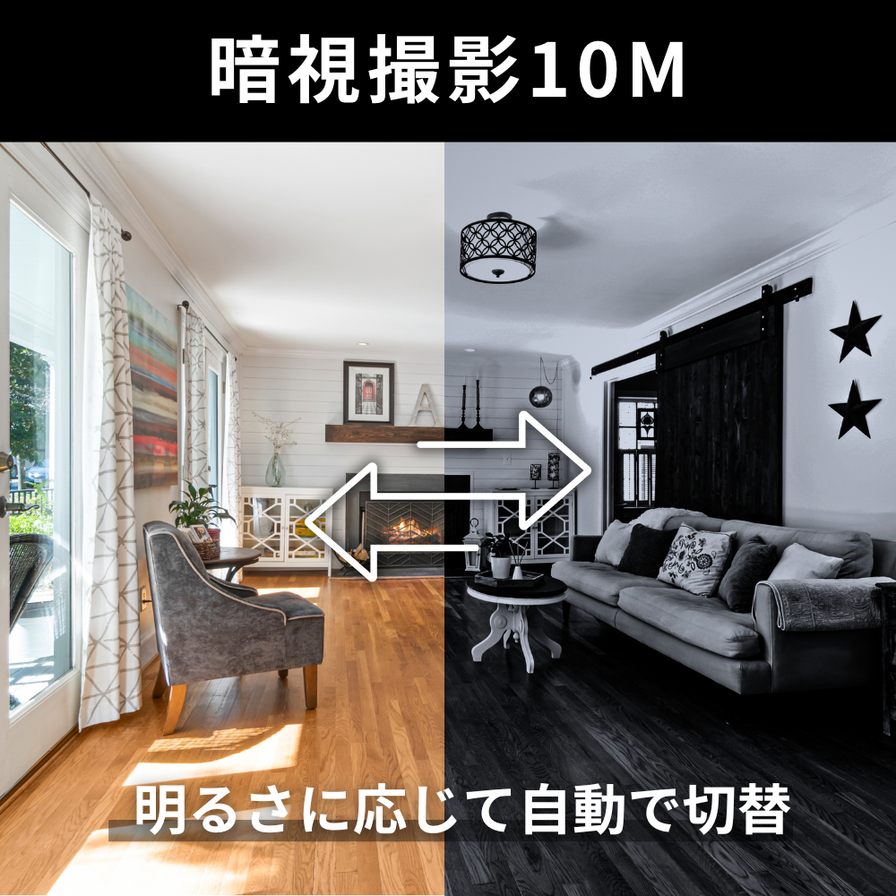 送料無料】匠ブランド ハイポータブルカメラ ポータブル型カメラ 超