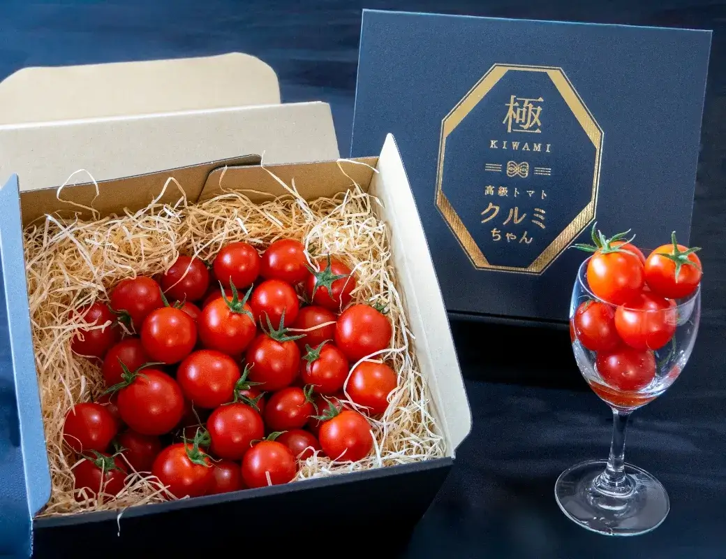 竹之内農園 | 千葉県船橋市のトマト農園