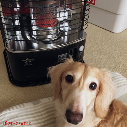 アラジン 石油ストーブ AKP-S248 2021年製 ブラック　アダプター付き 楽天市場】半額 ＆10％OFF≪1(日)0時～≫ アラジン ストーブ 石油