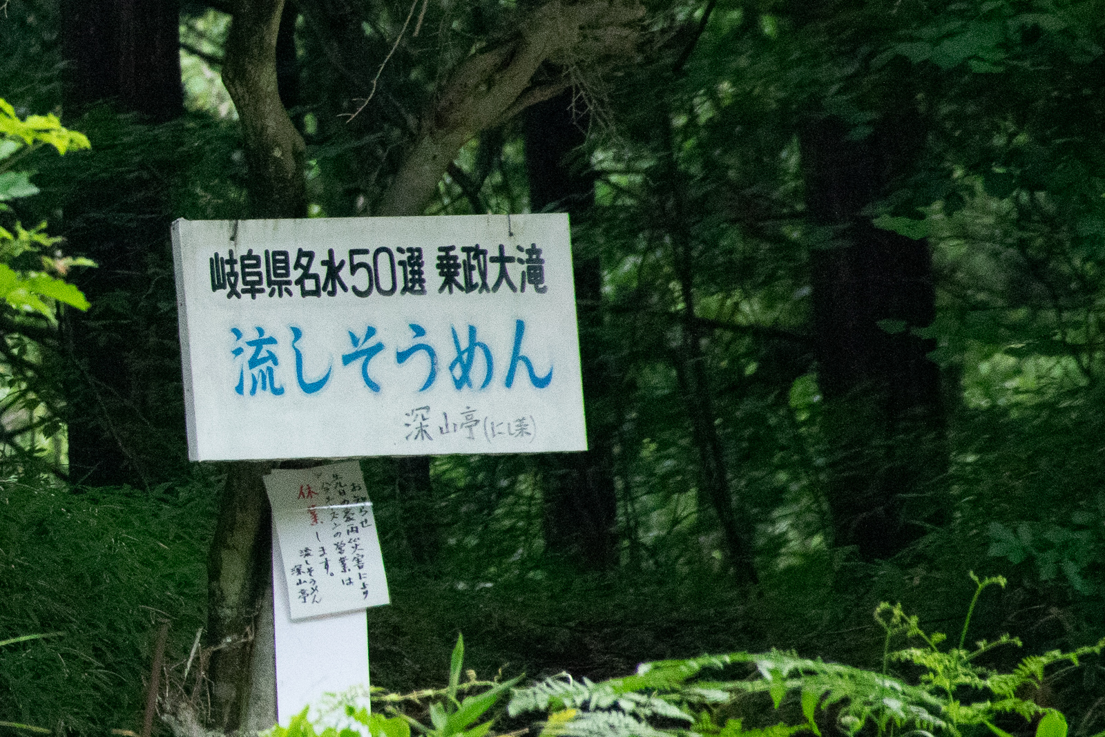 乗政大滝・岐阜県【輝く名水の滝つぼ！下呂温泉の穴場滝へ】 | 滝