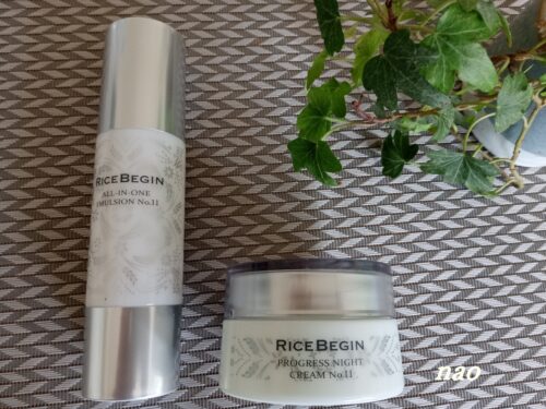 ライスビギンオールインワン&ナイトクリームの効果と口コミ