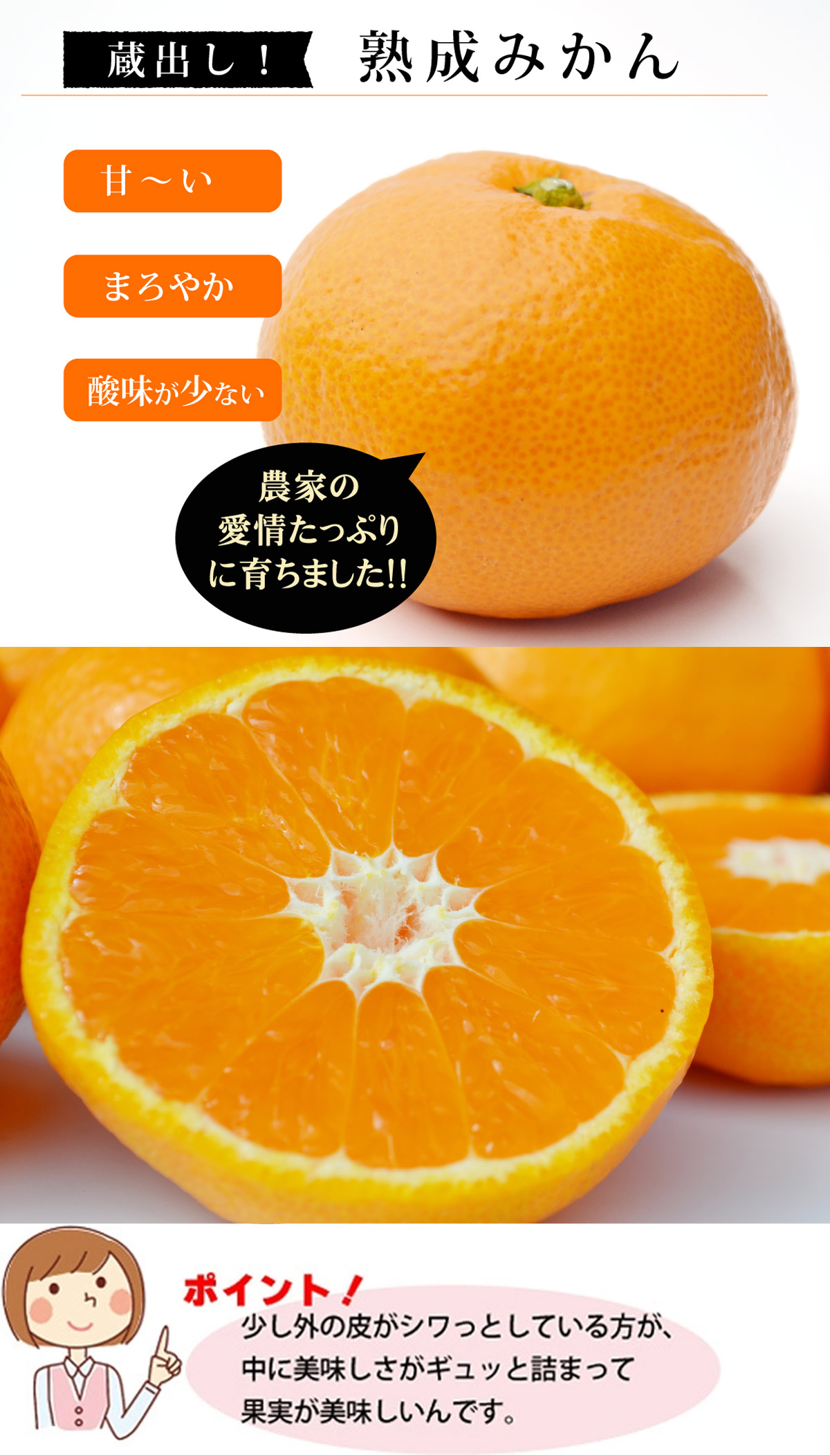 蔵出し！熟成みかん（温州みかん） 9kg