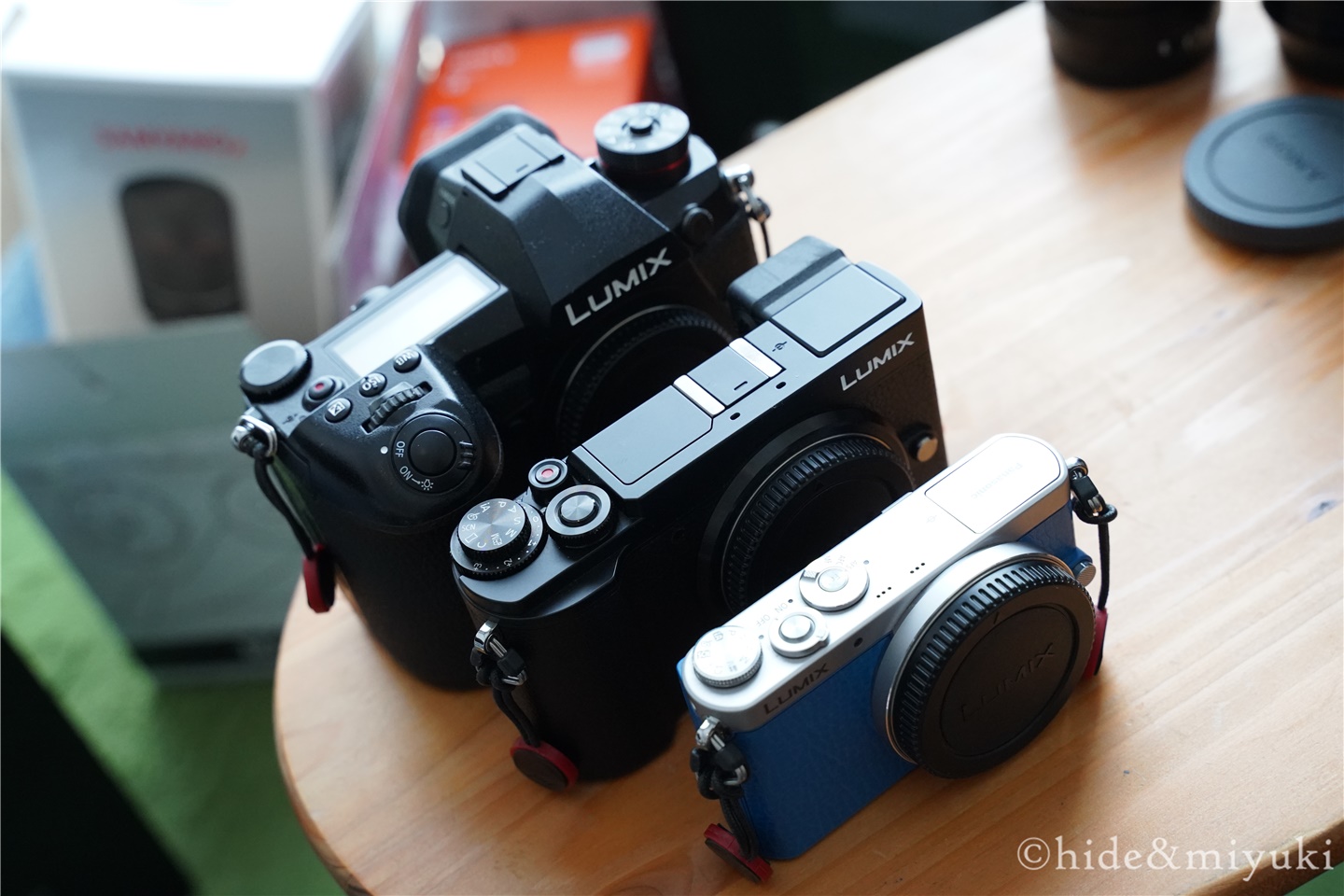 3万円以下!!】マイクロフォーサーズのオススメ入門撒き餌レンズ4選