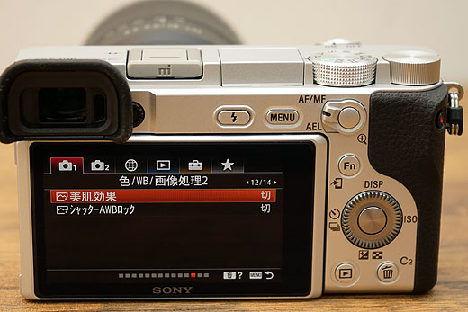 最新情報満載！リアルタイムトラッキング機能を搭載したAPS-Cミラー