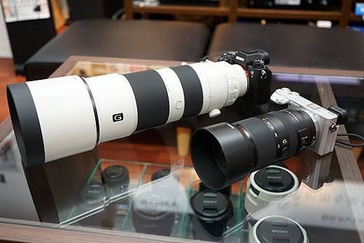 α6600”と『SEL70350G』で撮る冬の野鳥 - ソニーの新商品レビューを随時