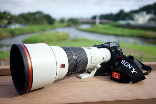 レビュー】夢の望遠レンズ『SEL300F28GM』の店員実機試用レポート