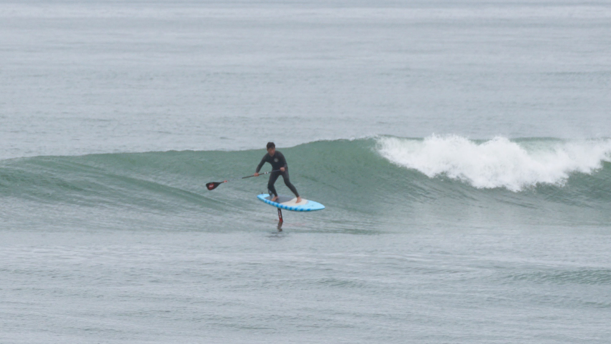 SUP FOILを再考する / Kalama Gator 入荷！ | TED OCEAN SPORTS BLOG