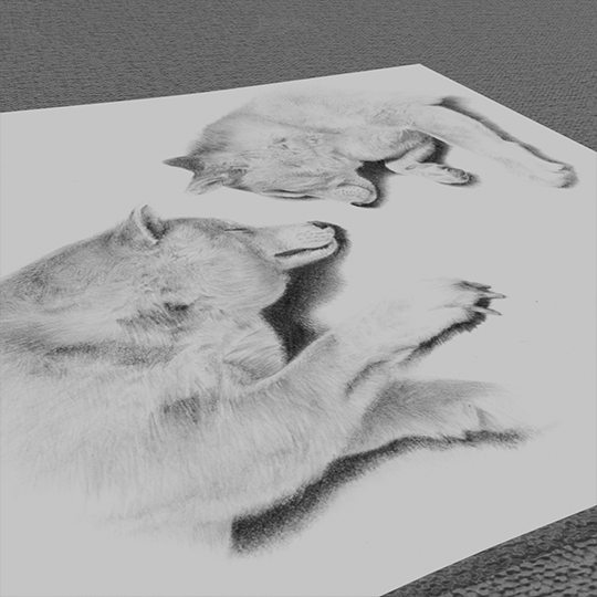 オーダー鉛筆画専門店『 鉛筆画家@Tegakist 』