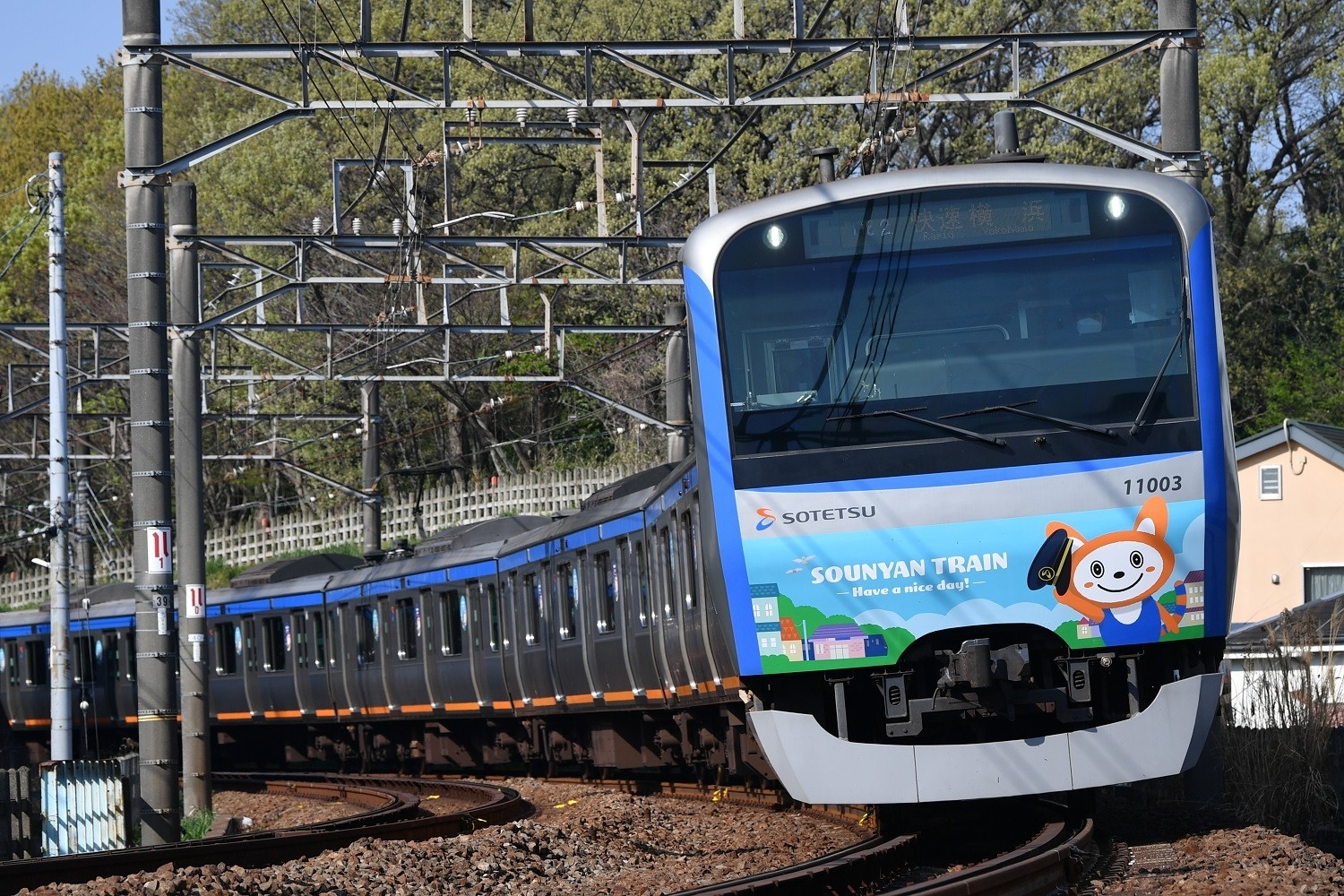 相鉄「十代目そうにゃんトレイン」登場へ | 鉄道ニュース | 鉄道新聞