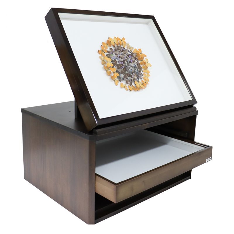 中古ドイツ箱 5箱 セット 昆虫用品 ドイツ箱 中古品 5箱セット ドイツ