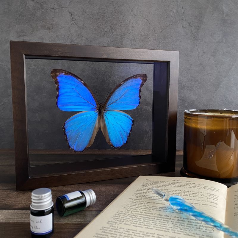 ドイツ箱マグネットコレクション3 – ネイチャーテクニカラー公式