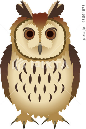 ウサギフクロウのイラスト素材 [43864673] - PIXTA