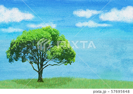 クスノキ 青空 水彩 のイラスト素材 [57695648] - PIXTA