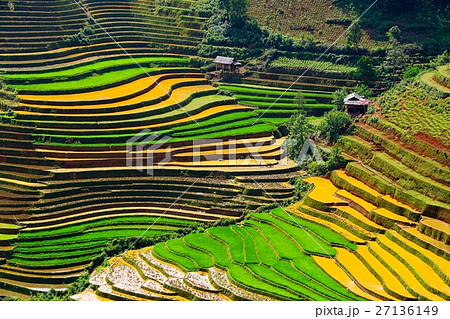ベトナム イエンバイ省ムーカンチャイの棚田の写真素材 [27136149] - PIXTA